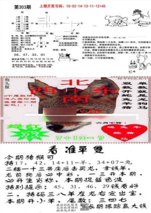 特码内幕B