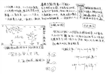 手写九龙内幕A