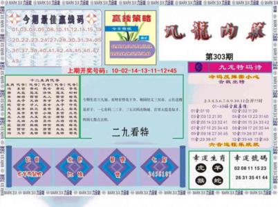 九龙内幕