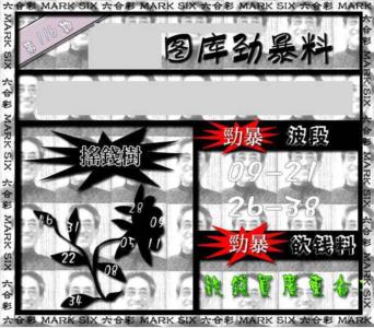 劲暴来料{正版}