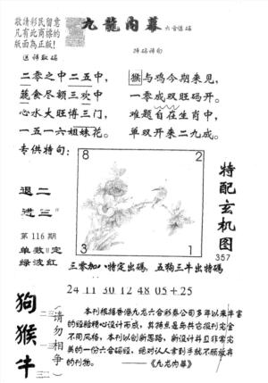 九龙内幕