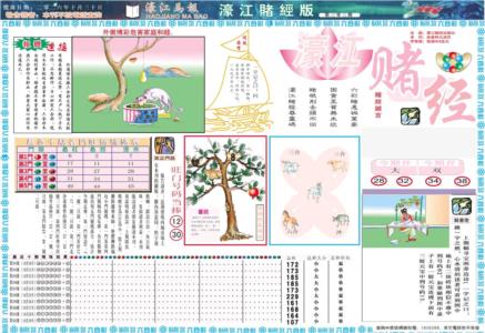 濠江赌经A