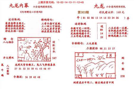 九龙内幕