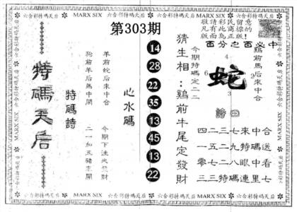 特码天后A