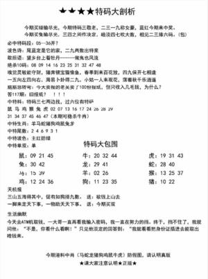 另特码大剖析