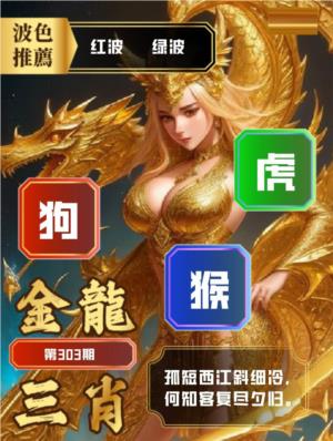 金龙三肖