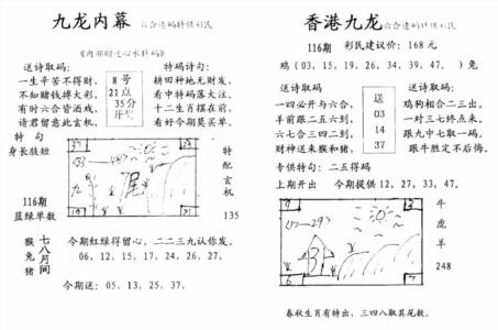 九龙内幕--开奖报