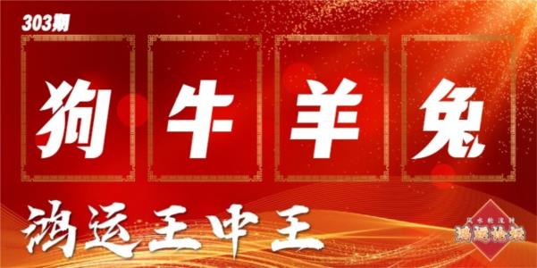 鸿运王中王