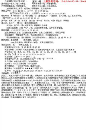 五星报B