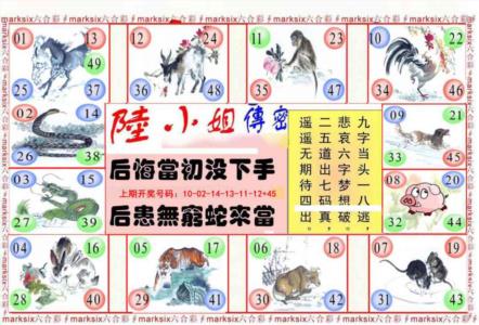 陆小姐传密B
