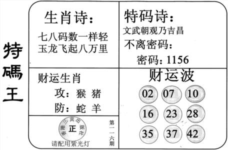 特码王