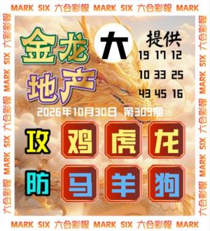 金龙主三肖