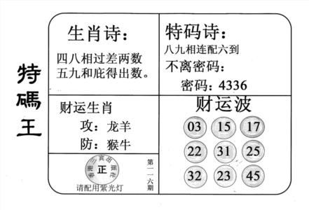 老版特码王