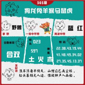 白虎一肖平特