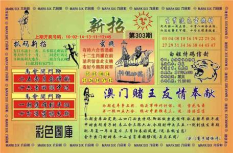 新招