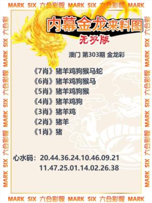 内幕金龙来料图