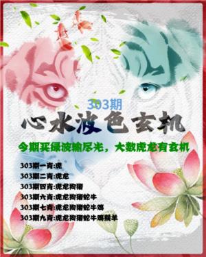 白虎波色玄机