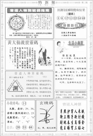 特新报B