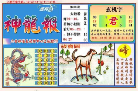 神龙报