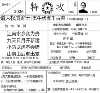 特攻报