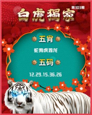 白虎内幕五肖