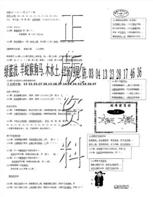 正版资料