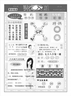 引人入胜A（新图）