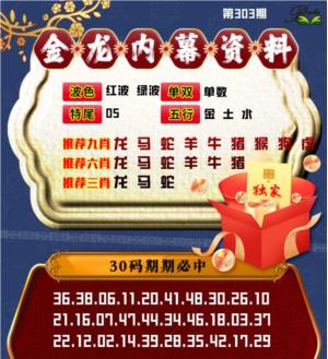 金龙内幕资料
