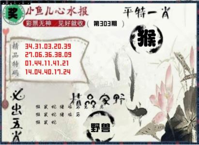 20码中特