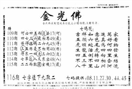 另新金光佛