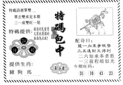 特码包中