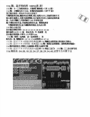双龙报B(新图)