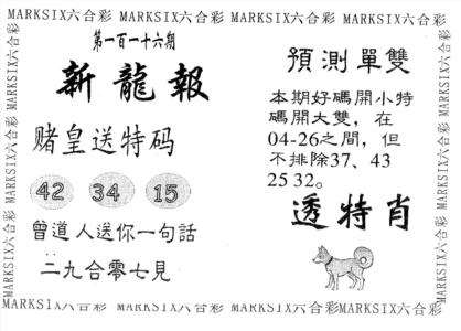新龙报