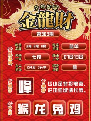 金龙财报