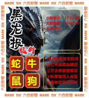 财黑龙彩报