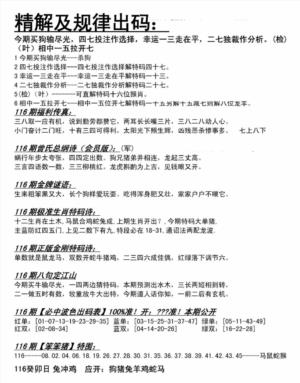 精解及规律出码图
