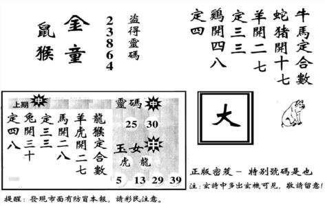 城市都鼠王
