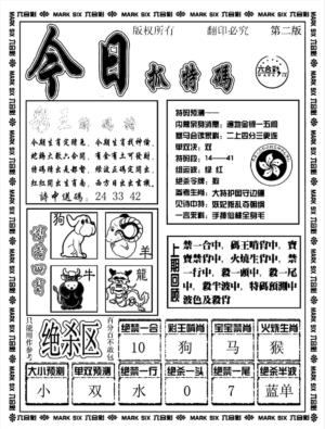 今日抓特码B(正版)