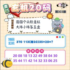 玄机20码