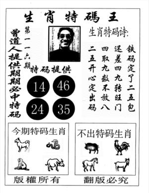 生肖特码王