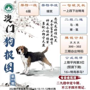 澳门狗报图