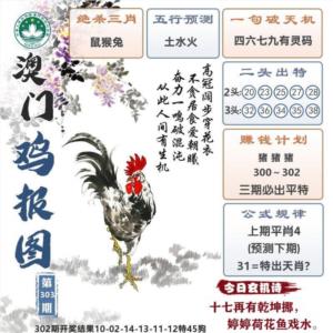 澳门鸡报图