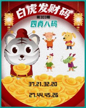 白虎发财码