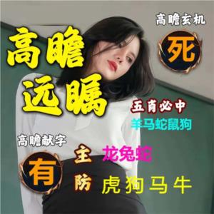 高瞻远瞩