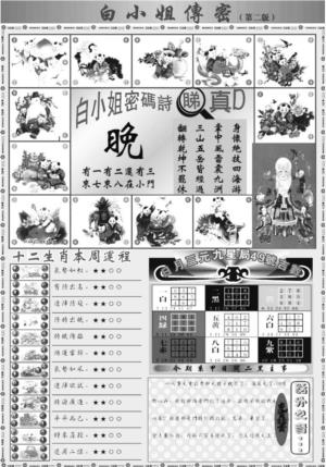 白姐加大B
