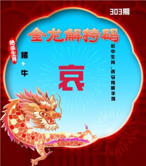 金龙解特码