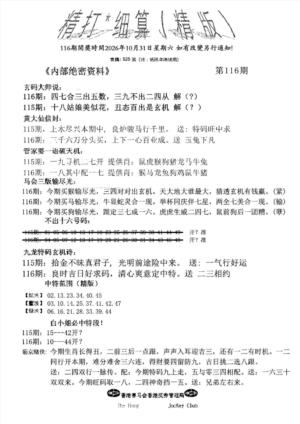 九肖红天下精版