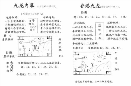 手写九龙内幕