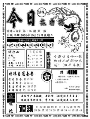 今日抓特码A(正版)