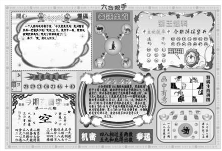 新六合杀手B